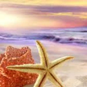 Meet your Posher, Desiree